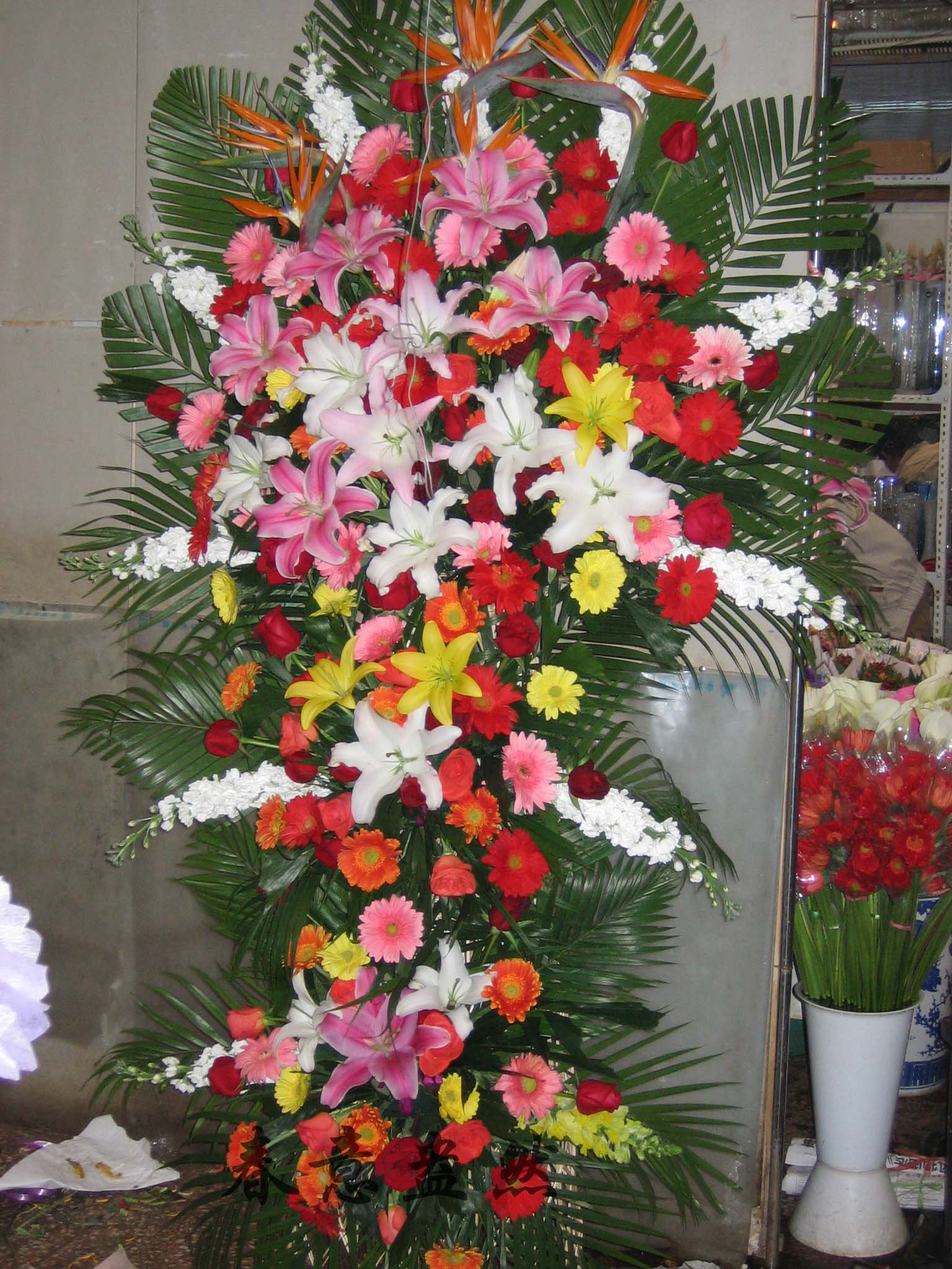 天堂鳥-金魚草3層