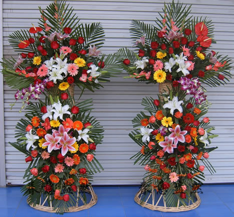 劍蘭-泰國蘭-火鶴