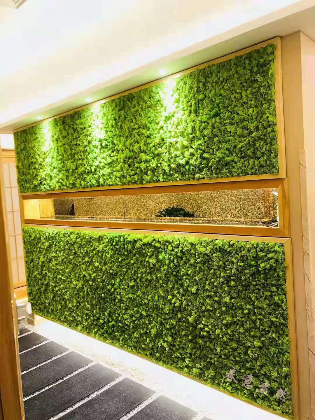 永生苔蘚綠植墻