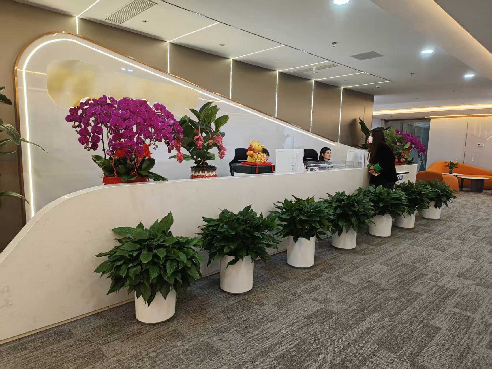 室內(nèi)綠植租擺業(yè)務