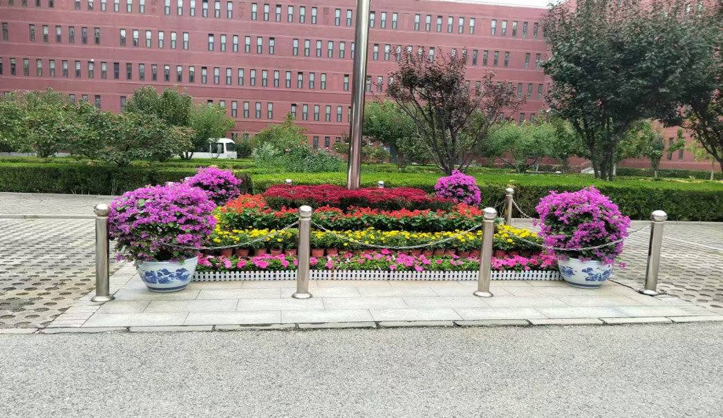 花壇擺放業(yè)務