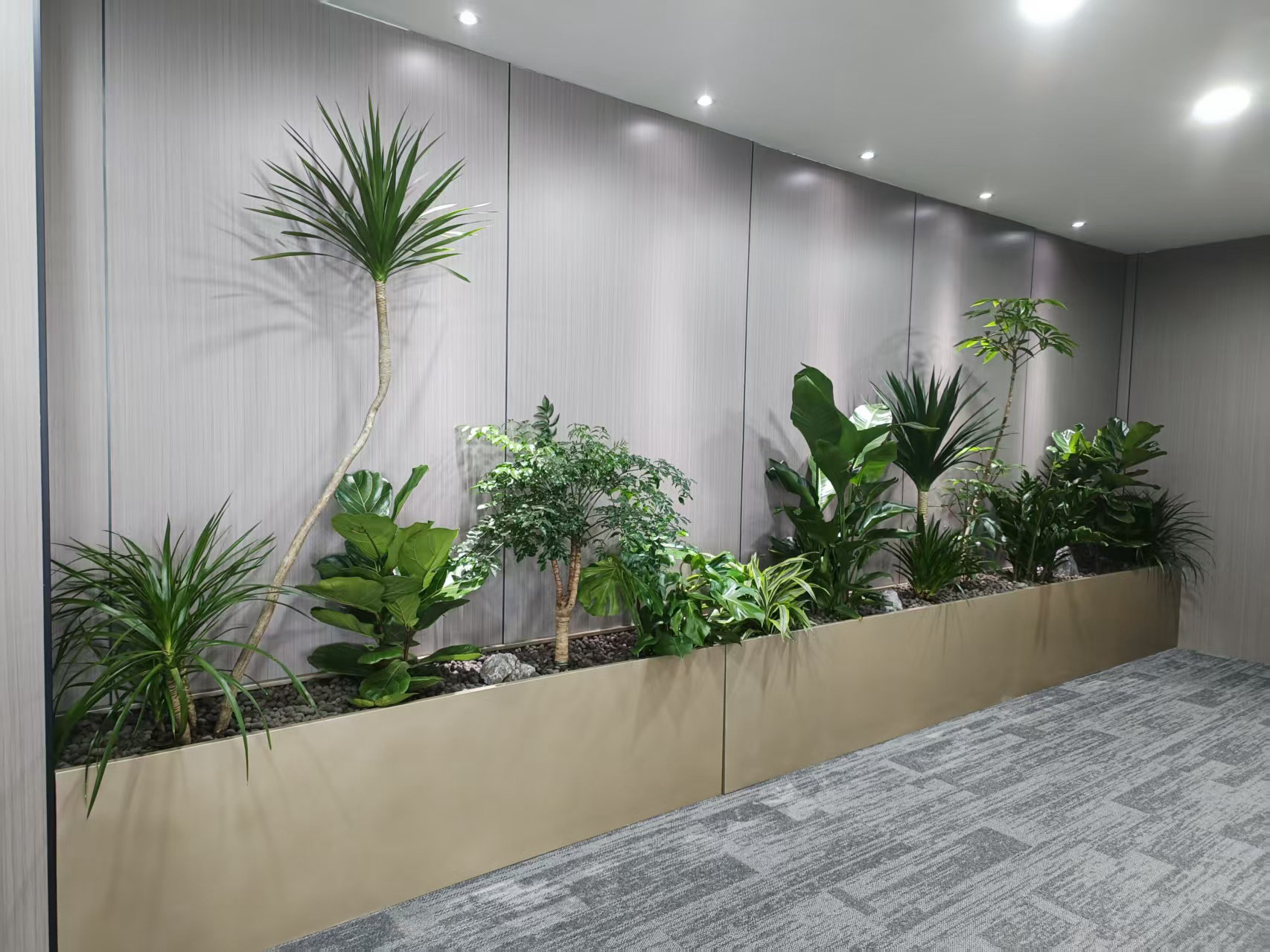 室內(nèi)造景綠植案例