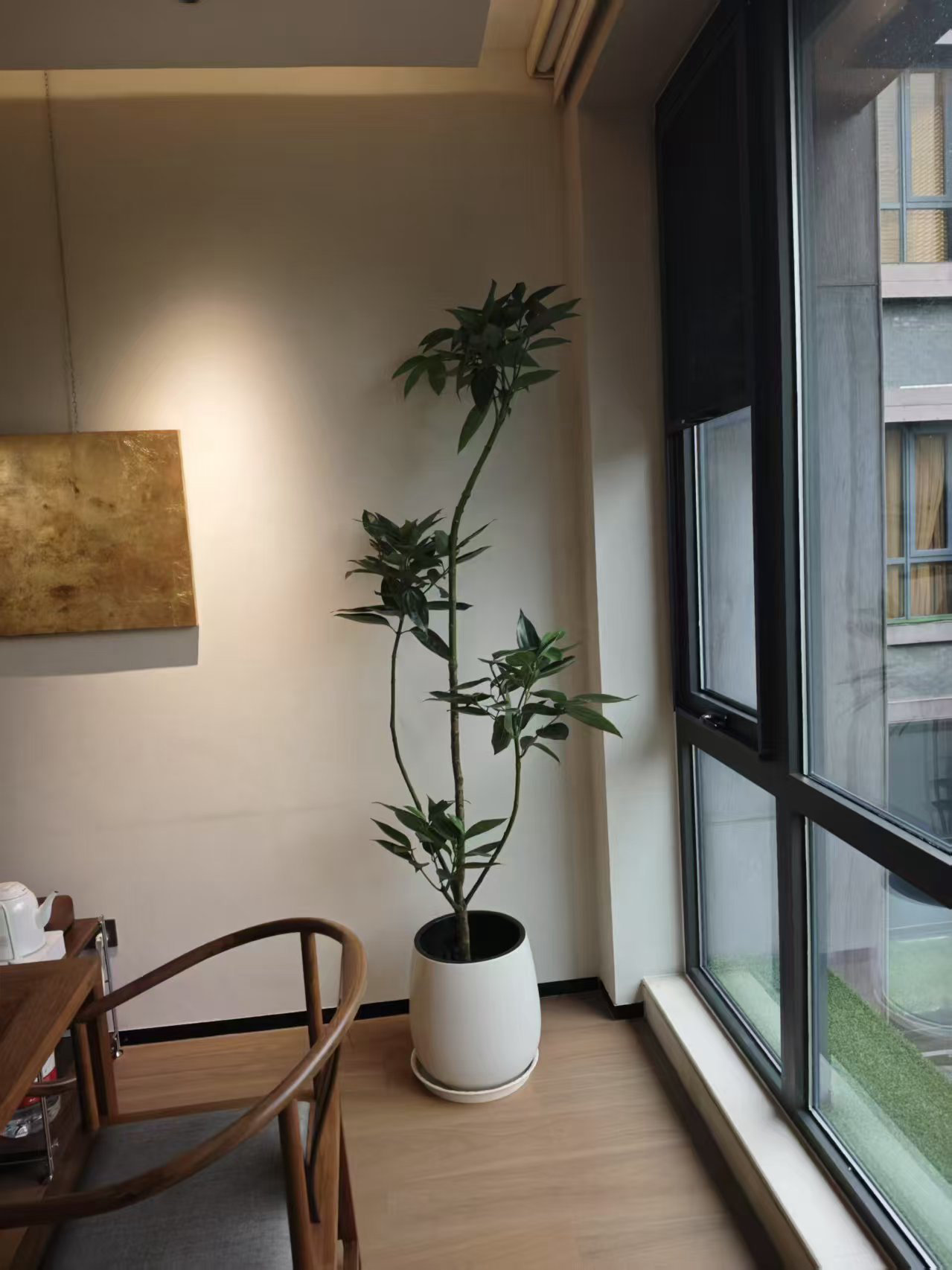 造型綠植案例